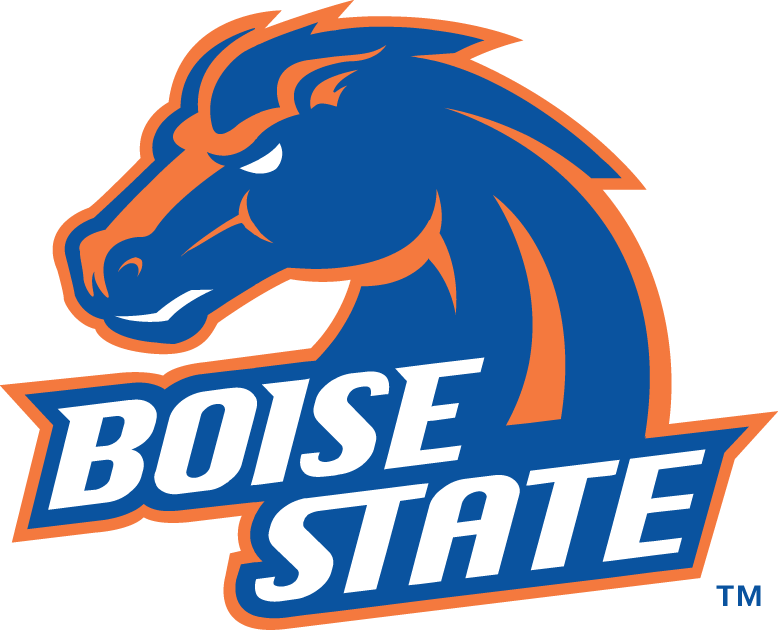 Boise State Broncos 2002-2012 Alternate Logo 03 iron on paper